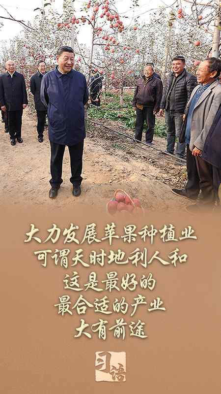  总书记点赞“小”变“大”，乡村产业如何蝶变。 新闻 总书记点赞“小”变“大”，乡村产业如何蝶变。 新闻