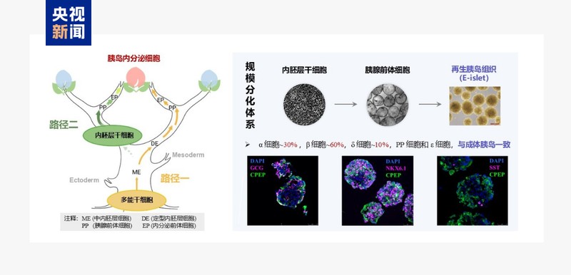  科技前沿持续发力；多领域重大突破接连涌现；中国创新活力迸发。 IT技术 科技前沿持续发力；多领域重大突破接连涌现；中国创新活力迸发。 IT技术