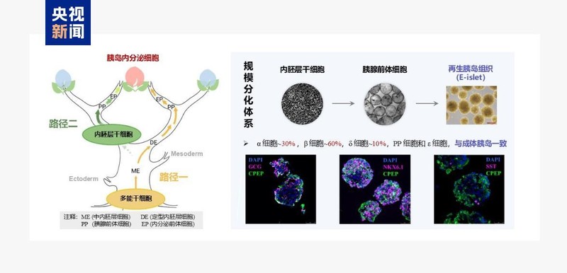  科技前沿持续发力；多领域重大突破接连涌现；中国创新活力迸发。 IT技术 科技前沿持续发力；多领域重大突破接连涌现；中国创新活力迸发。 IT技术