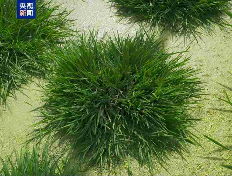  科技前沿持续发力；多领域重大突破接连涌现；中国创新活力迸发。 IT技术 科技前沿持续发力；多领域重大突破接连涌现；中国创新活力迸发。 IT技术