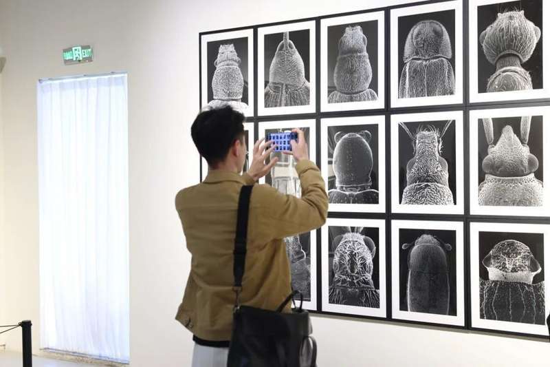  技术与观念的双重变奏：160余件德国当代艺术作品的深层解码 文化旅游