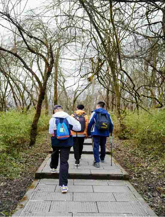  西岭雪山春假旅游全攻略：从徒步路线到沉浸式体验的技术深度拆解 文化旅游