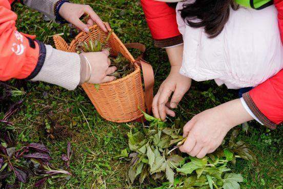 西岭雪山春假旅游全攻略：从徒步路线到沉浸式体验的技术深度拆解 文化旅游