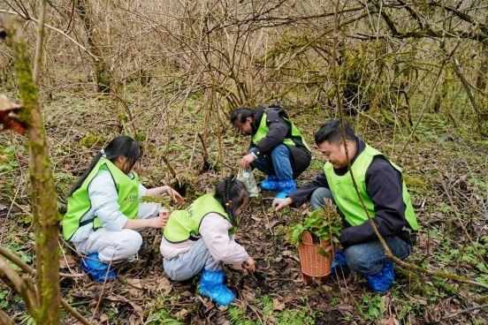  西岭雪山春假旅游全攻略：从徒步路线到沉浸式体验的技术深度拆解 文化旅游
