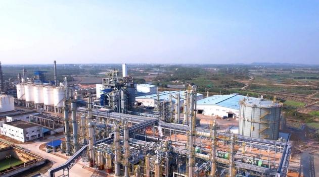  技术驱动下的上海2025：从“五万亿”到“千园之城”的创新实践 新闻