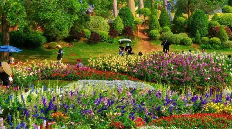 【深度复盘】从流量爆发到长效经营：广西春日经济的数据裂变与运营逻辑