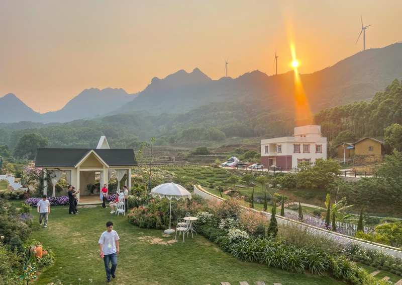  【深度复盘】从流量爆发到长效经营：广西春日经济的数据裂变与运营逻辑 文化旅游