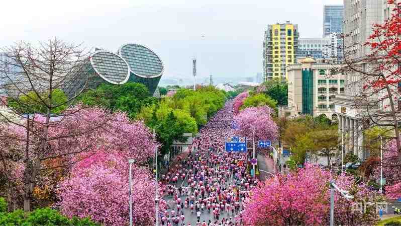  【深度复盘】从流量爆发到长效经营：广西春日经济的数据裂变与运营逻辑 文化旅游