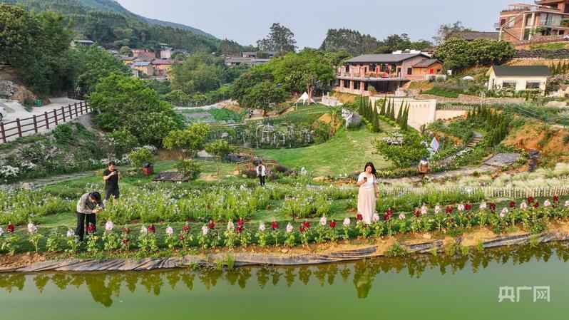  【深度复盘】从流量爆发到长效经营：广西春日经济的数据裂变与运营逻辑 文化旅游