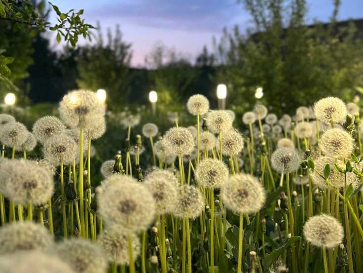  【深度解码】三大生肖三月运势攀升：从被动应对到主动掌控的转型密钥 文化旅游