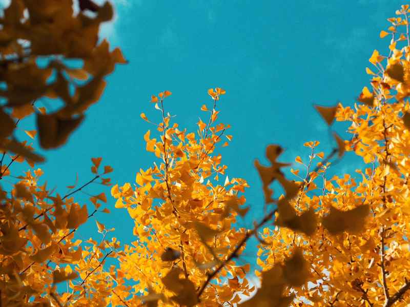  【深度解码】三大生肖三月运势攀升：从被动应对到主动掌控的转型密钥 文化旅游