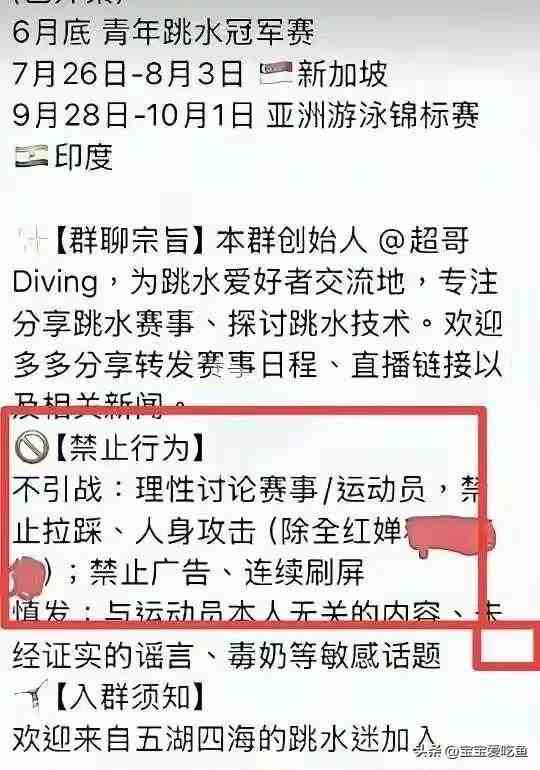  【深度追踪】全红婵网暴事件法律路径全解析：群体性侵权的刑事追责边界 新闻