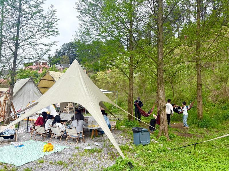  从“颜值”到“产值”：仁怀苍龙街道“露营+”模式的乡村旅游产业升级深度解析 文化旅游