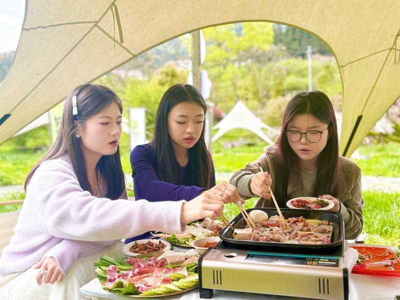  从“颜值”到“产值”：仁怀苍龙街道“露营+”模式的乡村旅游产业升级深度解析 文化旅游