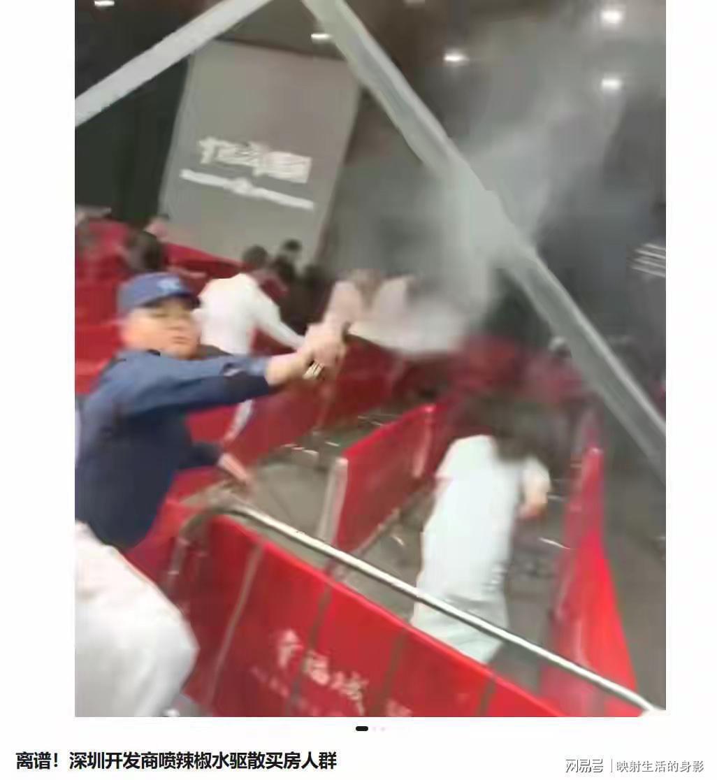  深圳抢房风暴深度复盘：秩序失控的五个关键节点与执法边界反思 新闻