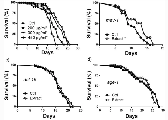  从线虫到人类：番茄红素的延寿机制深度解析 健康养生