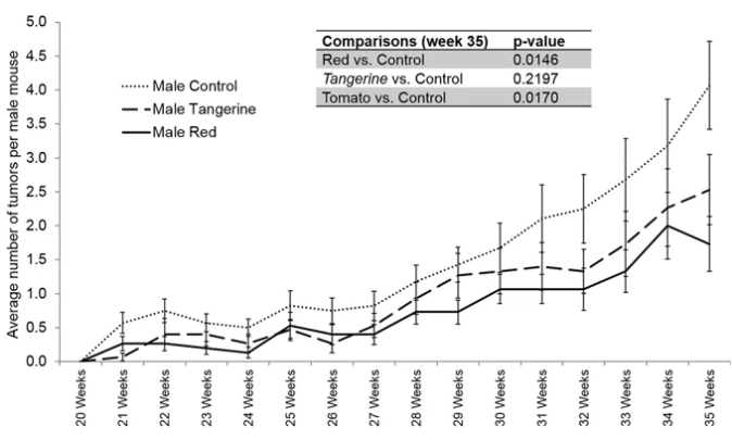  从线虫到人类：番茄红素的延寿机制深度解析 健康养生