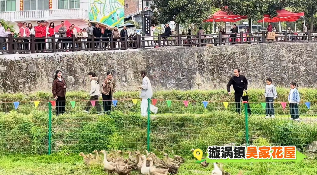  梯田文旅IP运营深度解构：漩涡镇如何用田园赛事激活乡村经济 文化旅游