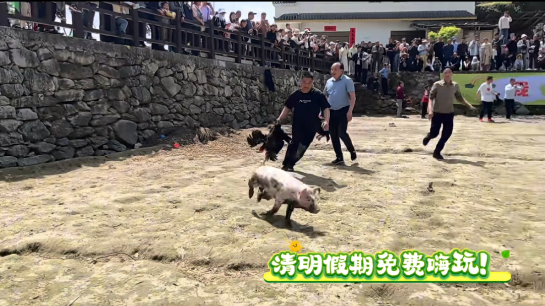  梯田文旅IP运营深度解构：漩涡镇如何用田园赛事激活乡村经济 文化旅游