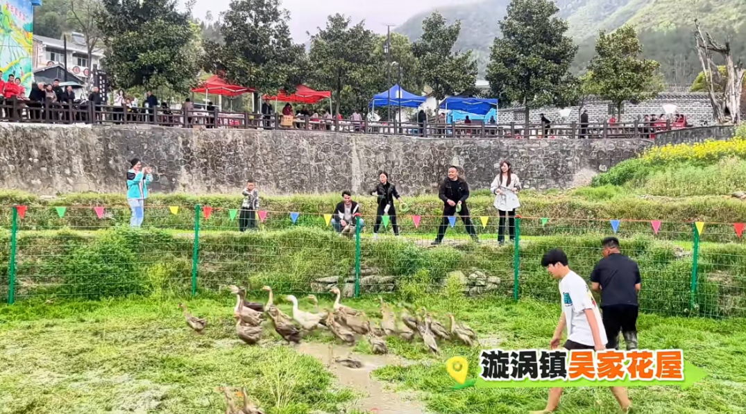  梯田文旅IP运营深度解构：漩涡镇如何用田园赛事激活乡村经济 文化旅游