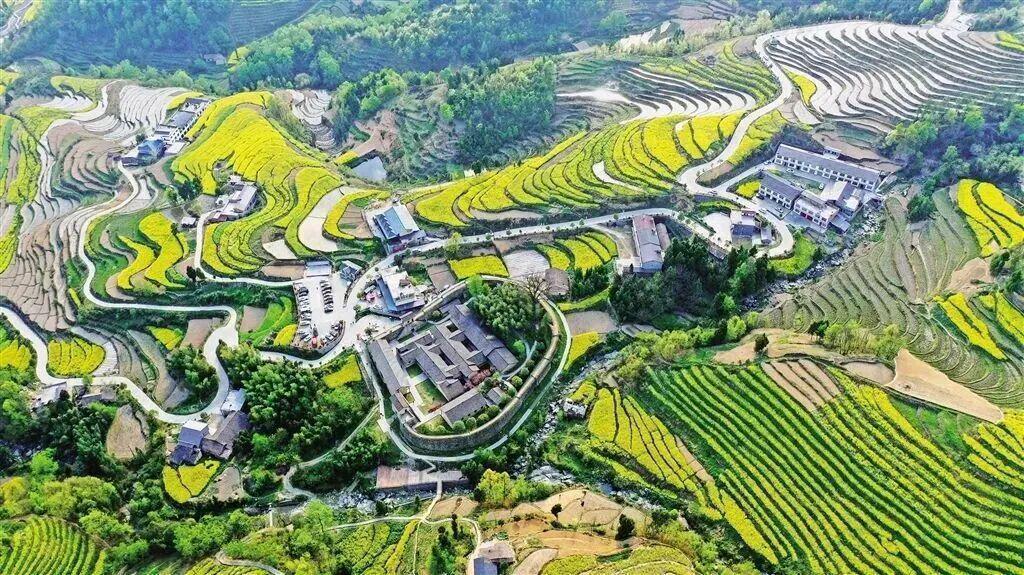  梯田文旅IP运营深度解构：漩涡镇如何用田园赛事激活乡村经济 文化旅游