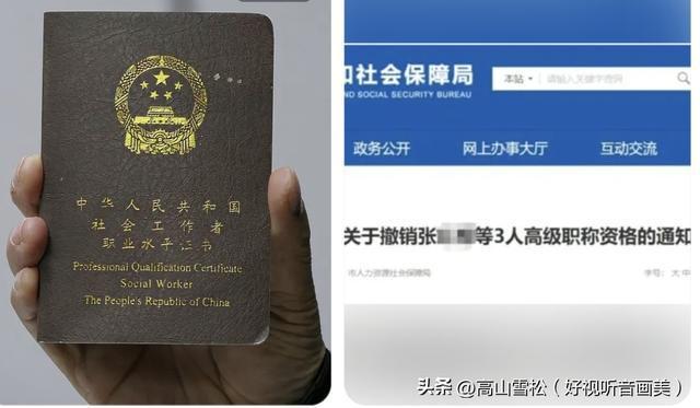  【深度复盘】2026年职称评审监管新纪元：从倒查机制到全链路合规体系的技术演进 新闻