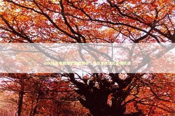 2026年电脑维护趋势洞察：抓住系统优化关键机遇 新闻