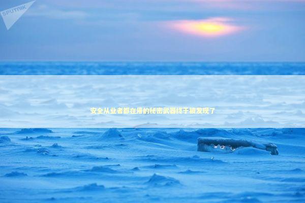 安全从业者都在用的秘密武器终于被发现了 IT技术