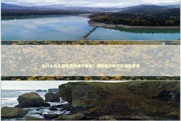 为什么你总是觉得网络不够快？揭秘数字时代的速度焦虑 情感心理