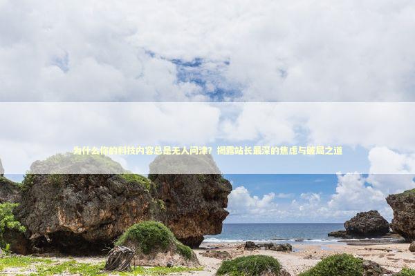 为什么你的科技内容总是无人问津？揭露站长最深的焦虑与破局之道 IT技术