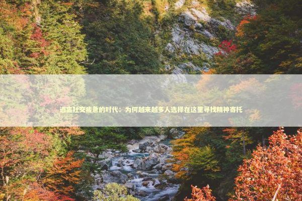 逃离社交疲惫的时代：为何越来越多人选择在这里寻找精神寄托 情感心理